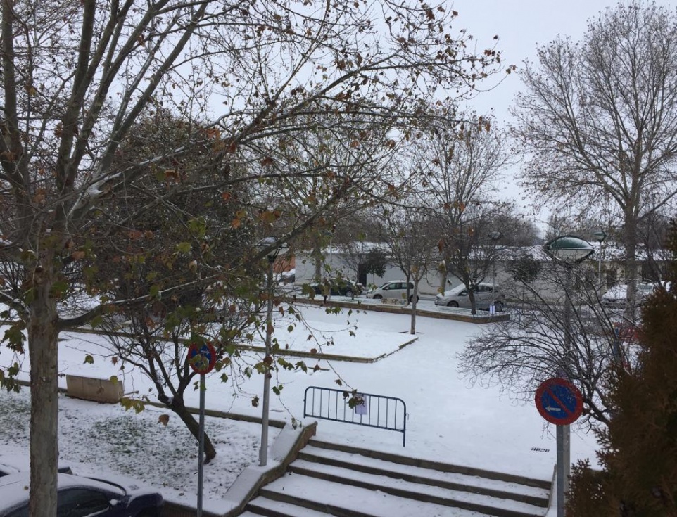 Fotografía del Ayuntamiento de Ciempozuelos.