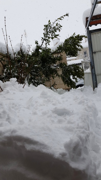 Fotografía de @ZlGVR_.