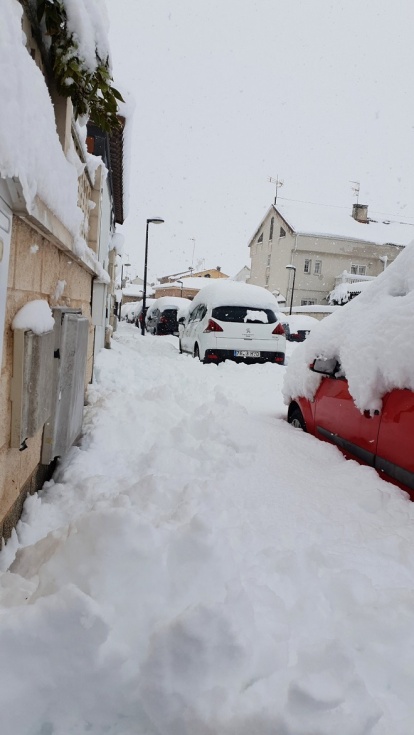 Fotografía de @ZlGVR_.