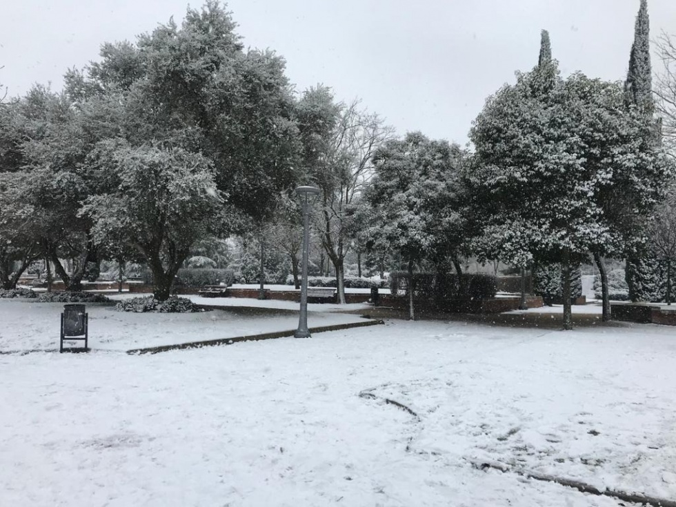 Parque municipal de Pinto.