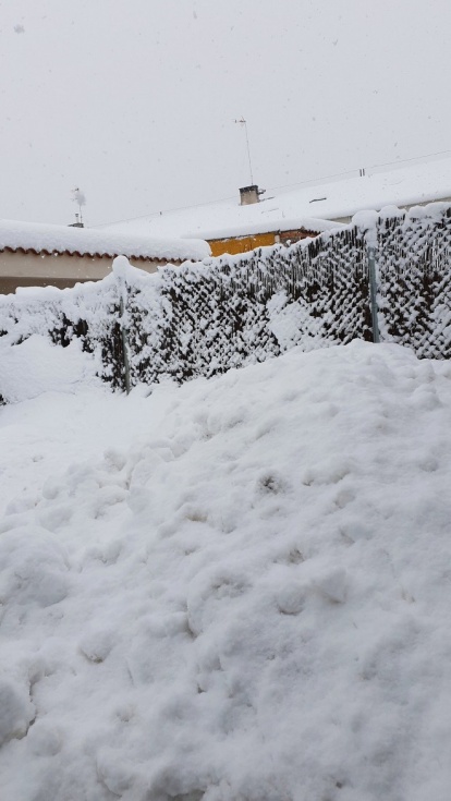 Fotografía de @ZlGVR_.