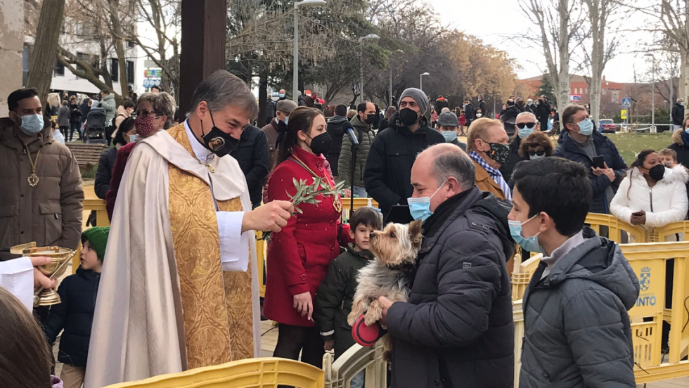 Un perro recibiendo la bendición en la ermita de San Antón.