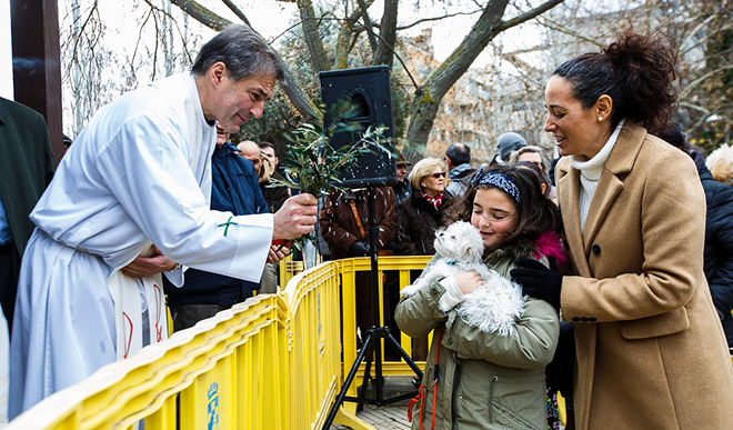 Celebración de San Antón en Pinto en 2019.