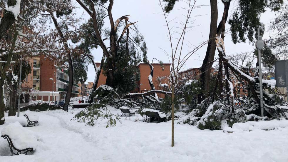 Paso de la borrasca Filomena por Pinto.