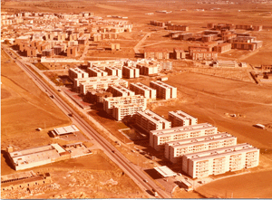 Pinto en la transición de la dictadura a la democracia