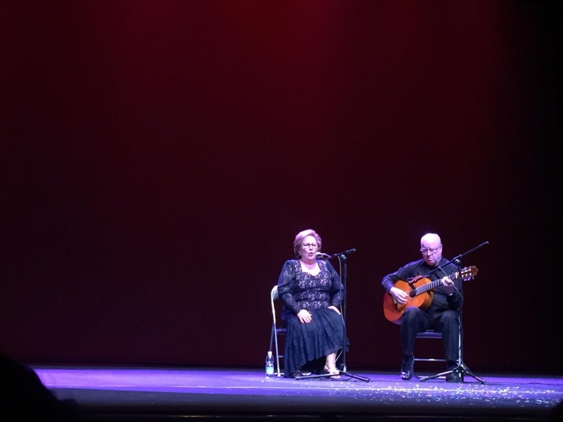 Festival solidario Torre de Éboli.