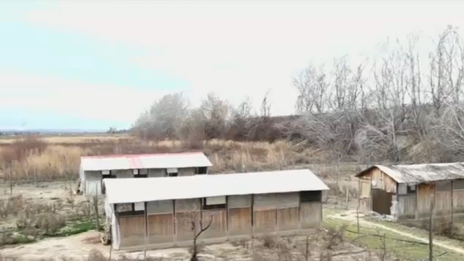 Terrenos de la granja de Ciempozuelos con las gallinas confinadas | Telemadrid