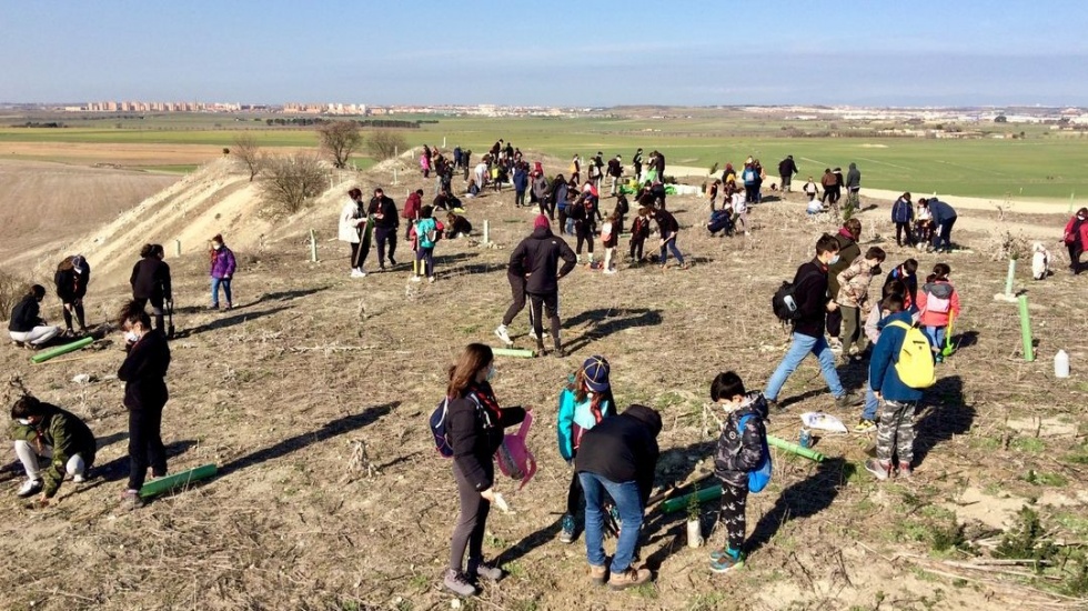 Repoblación en el cerro Pelango II|Foto: Ecologistas en Acción