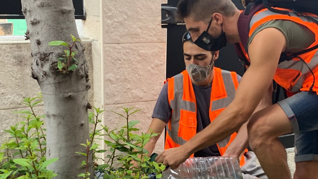 Trabajos de control de plagas en el municipio|Foto:Ayuntamiento de San Martín de la Vega
