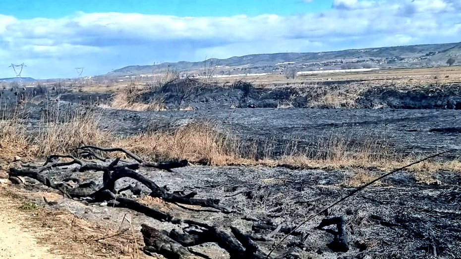 Estado actual de la zona de la reserva afectada por el incendio.