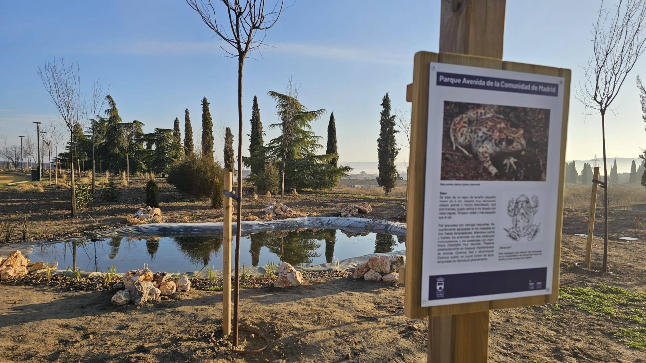La nueva charca de las laderas del cementerio.