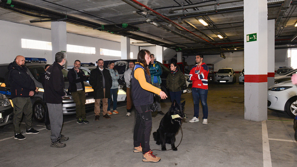 Nuevo paso para que la Policía Local de Valdemoro cuente con su propia unidad canina