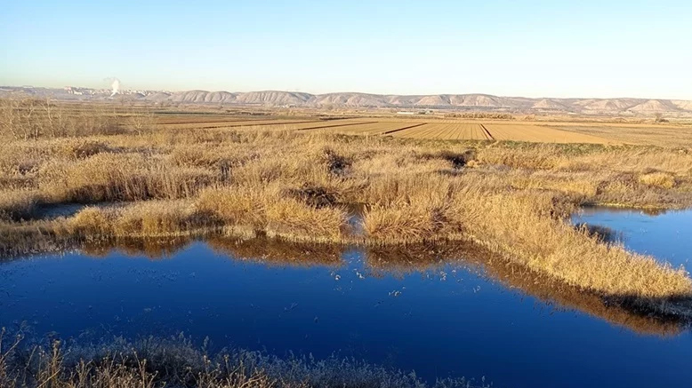 La laguna de Soto Gutiérrez de Ciempozuelos será restaurada
