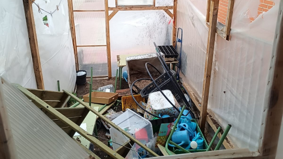 As&iacute; qued&oacute; el invernadero del CEIP Eloy Saavedra.