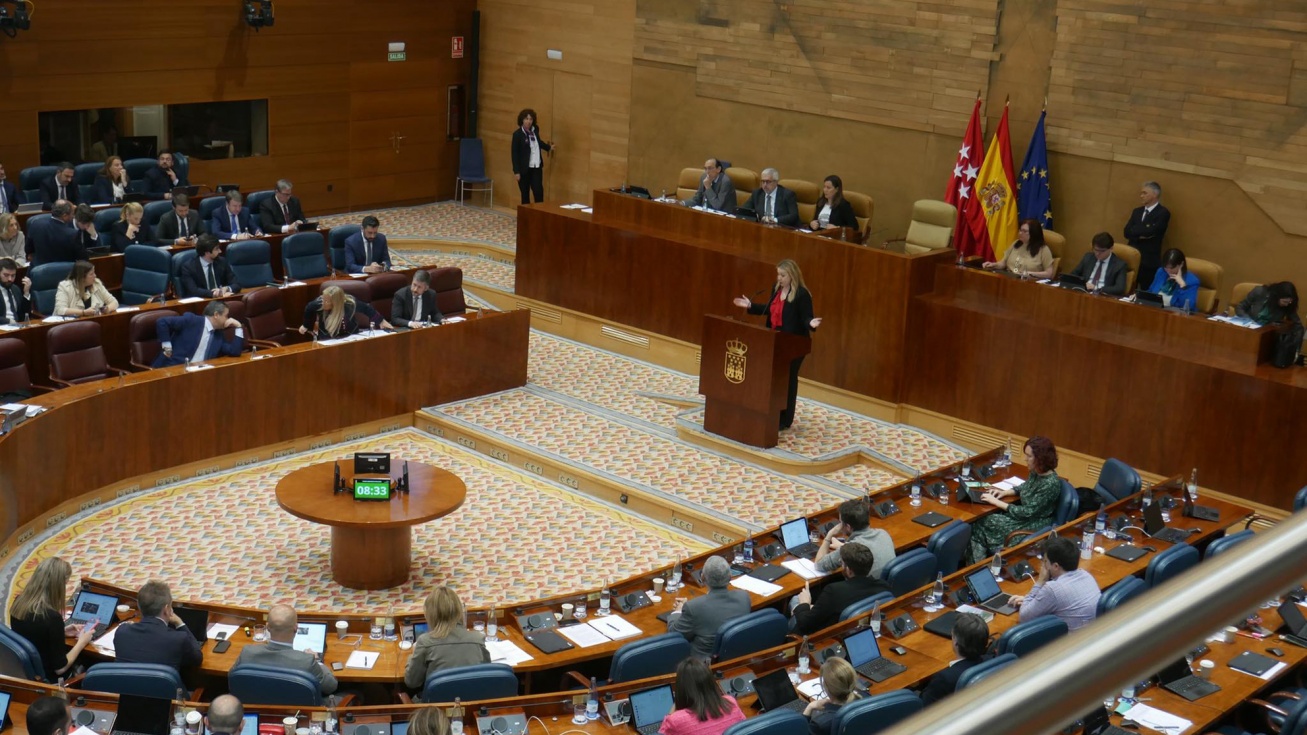 Votación en la Asamblea de Madrid | Raquel Jimeno