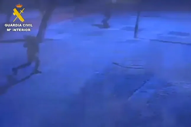 Im&aacute;genes captadas por las c&aacute;maras de seguridad con las que se identific&oacute; a los responsables.