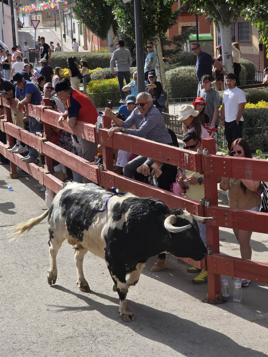 El Gobierno de San Martín de la Vega entona el mea culpa por los fallos en los encierros