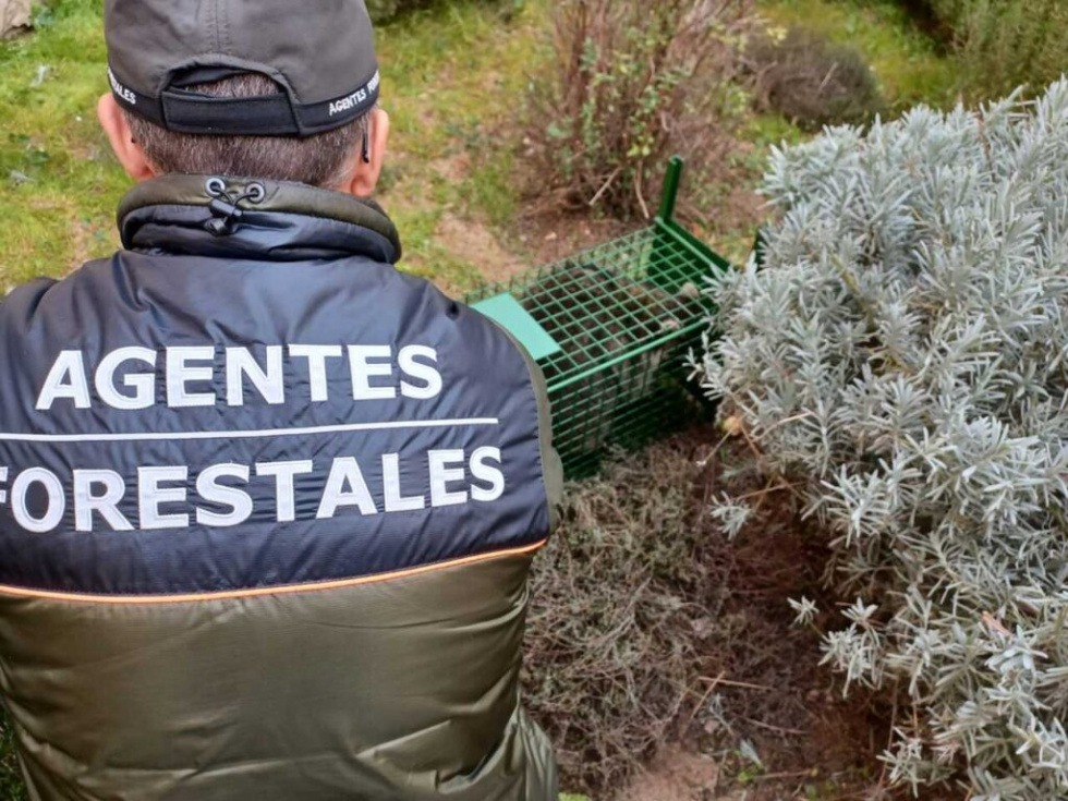 La plantilla de agentes forestales de San Martín de la Vega se ha reducido a la mitad en los últimos años