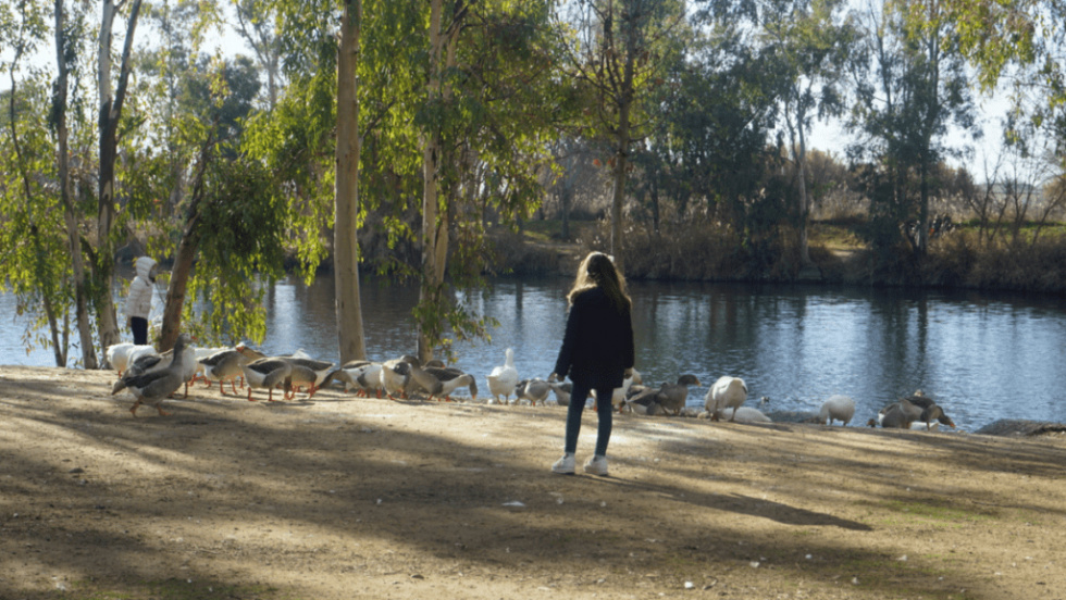 Parque Tierno Galv&aacute;n de San Mart&iacute;n de la Vega.