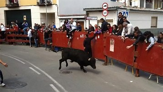 Cambios en los festejos taurinos de San Martín de la Vega por instancia de la Comunidad de Madrid