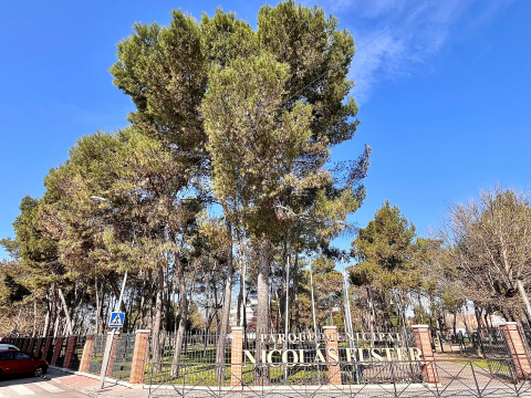 Parque Nicolás Fuster de Pinto.