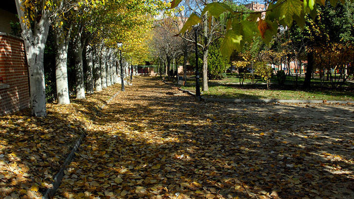 Valdemoro.