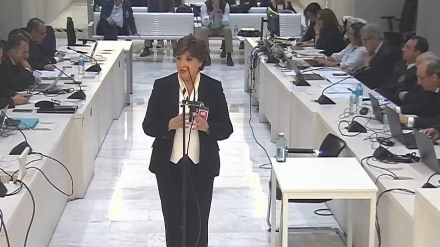 Mar&iacute;a &Aacute;ngeles Herrera, en un momento de su declaraci&oacute;n.