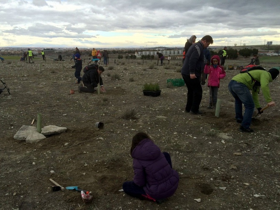 Repoblación del cerro de las Brujas en 2016 | Ecologistas en Acción de Pinto.