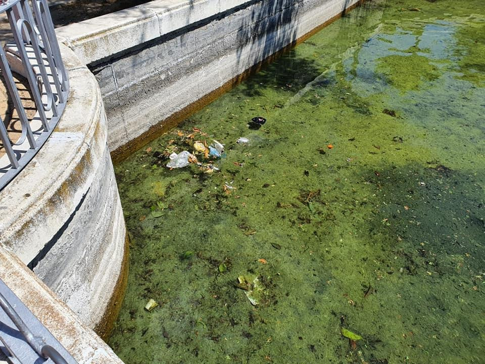 Estado del lago Juan Carlos I | Imagen: @pintodenuncia.