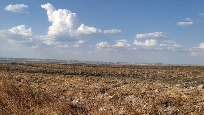 Lodos sobre los campos de Pinto, muy cerca del núcleo urbano.