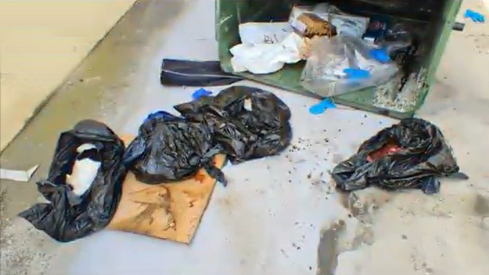 Cachorros arrojados a un contenedor de un polígono de Valdemoro. | Imagen de Policía de Valdemoro.