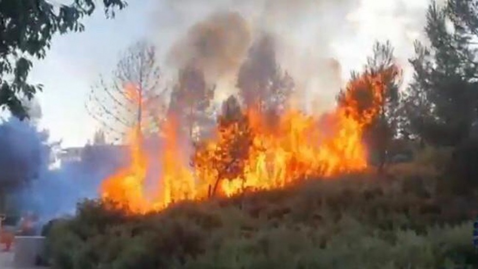 Incendio en el parque Adolfo Suárez de Valdemoro del año pasado.