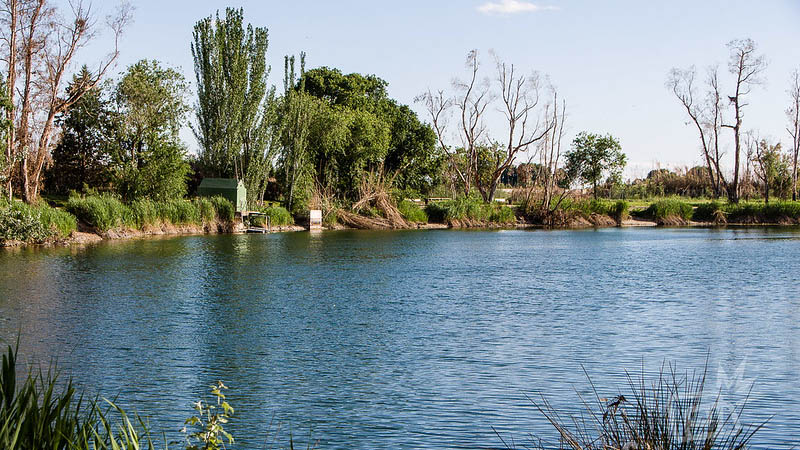 Parque Enrique Tierno Galván de San Martín de la Vega.