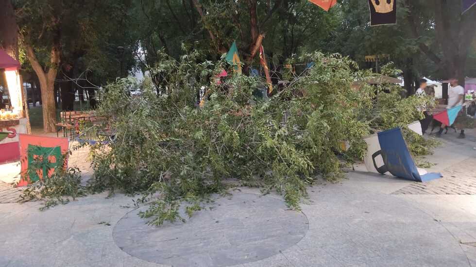 Una rama de grandes dimensiones cae en el Parque Egido de Pinto tras las fuertes rachas de viento