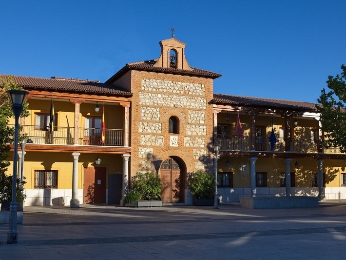 Ayuntamiento de San Martín de la Vega.