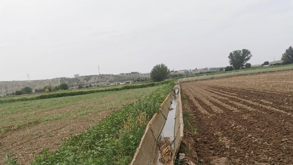 Acequia del canal del Jarama | Unión de Uniones