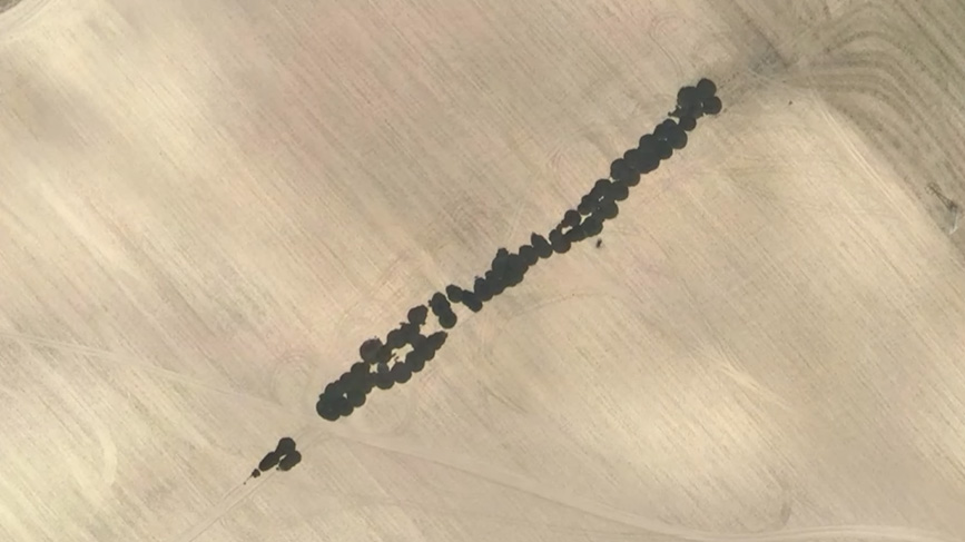 Imagen en Google Earth de uno de los vertidos | Ecologistas en Acción de Pinto