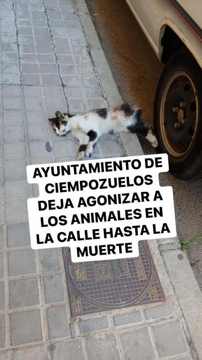 [Img #33082]