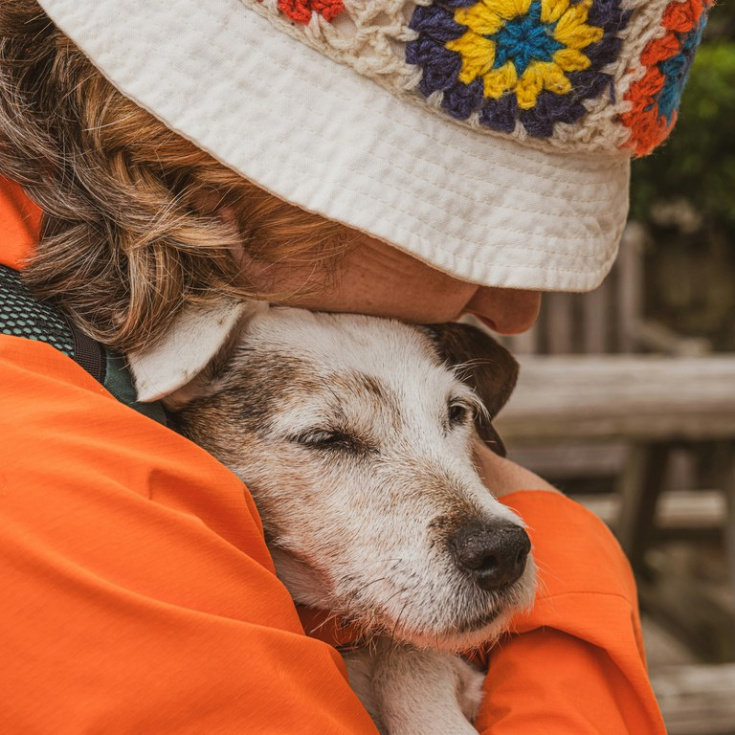 Más de 40 animales han encontrado un nuevo hogar este año gracias al Centro de Protección Animal de Parla