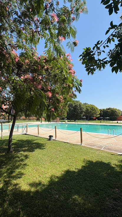 Ya hay fecha para la apertura de la piscina municipal de Ciempozuelos