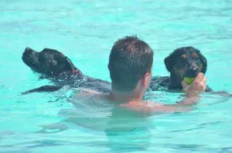 Imagen del II Patas al Agua | Imagen: La Prote y el Vagabundo.