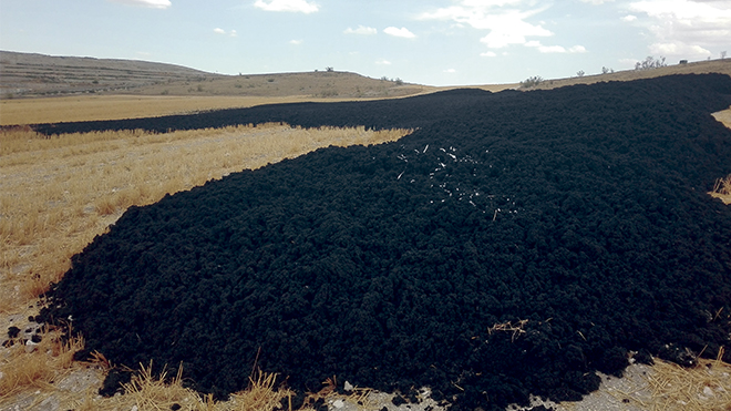 Vertidos de lodos ilegales en los campos de Pinto, causantes de los malos olores que padece el término municipal.
