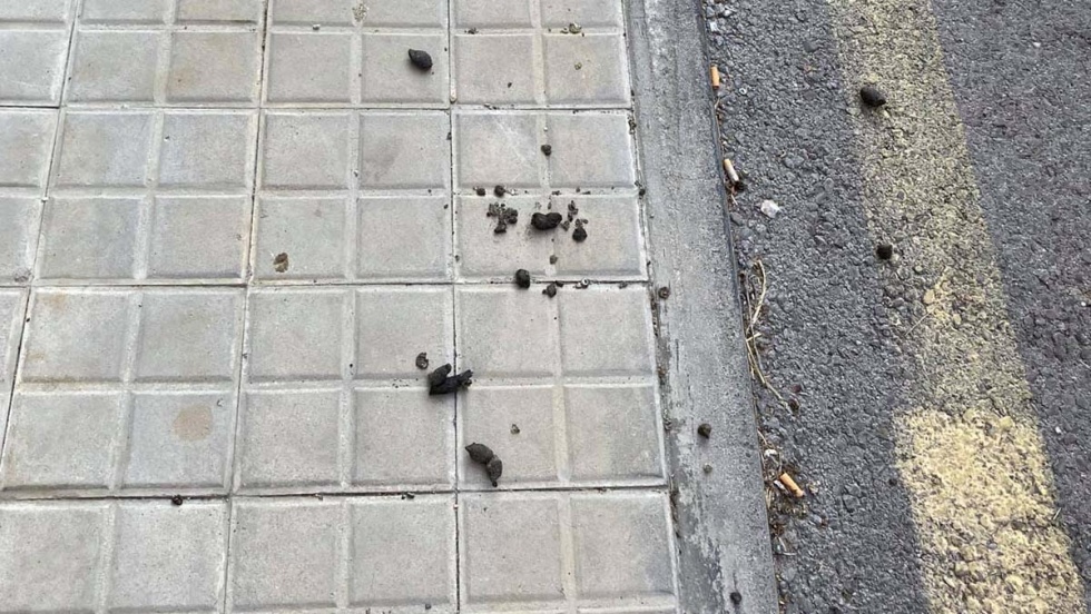 Restos de heces caninas en una acera de Ciempozuelos. | Foto del PP Ciempozuelos.