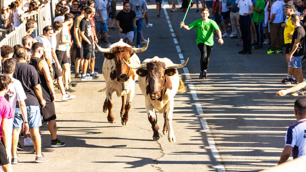 Uno de los encierros de las últimas fiestas patronales.