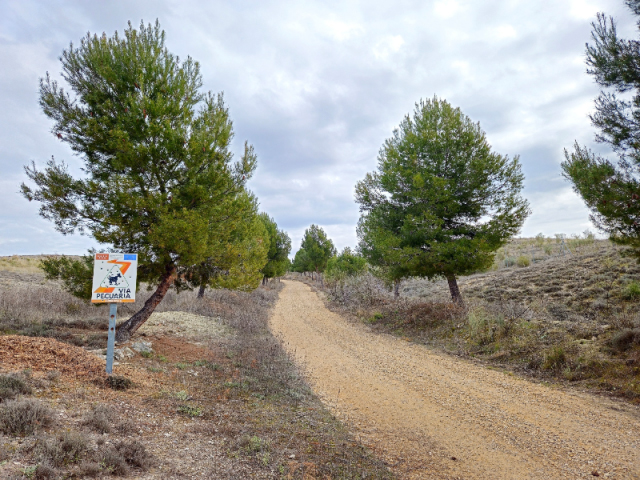 Valdemoro reclama a la Comunidad de Madrid más limpieza y vigilancia en las vías pecuarias