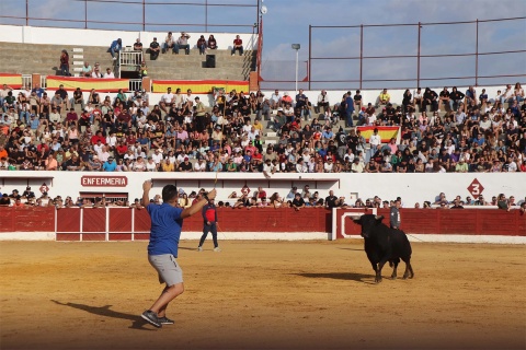 Encierro en la plaza de toros.