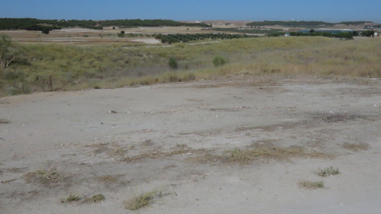 El paraje de Los Blancares libre de escombros|Espartal-Ecologistas en Acción Valdemoro