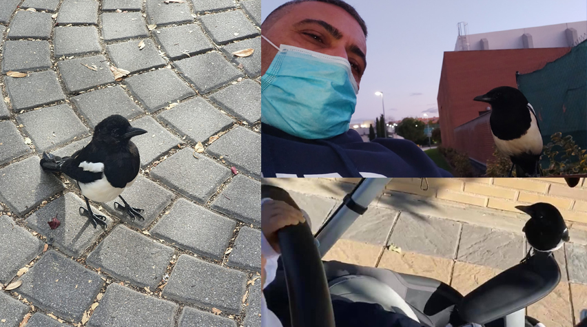 Fotos de Copi subidas por los vecinos del barrio La Tenería de Pinto.