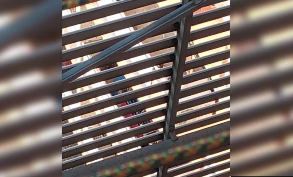 El gato lleva más de 5 días abandonado en la terraza con un arenero sucio y una caja de zapatos.