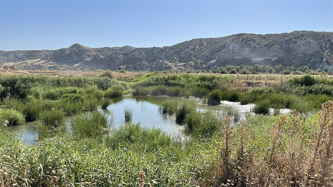 Humedales Soto Gutiérrez.